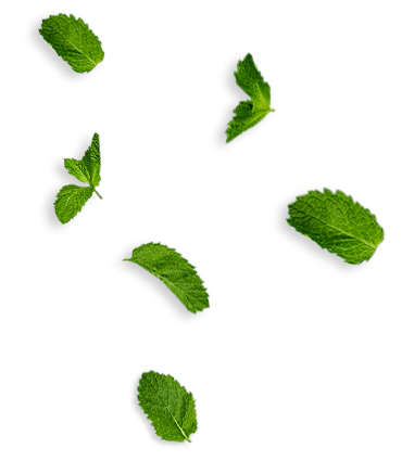 leaf 1